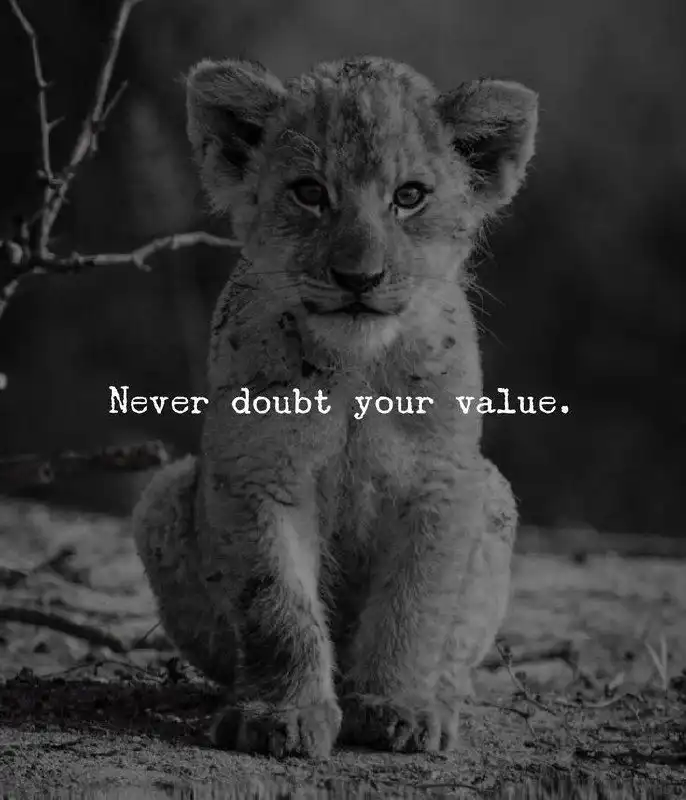 dp for success in life